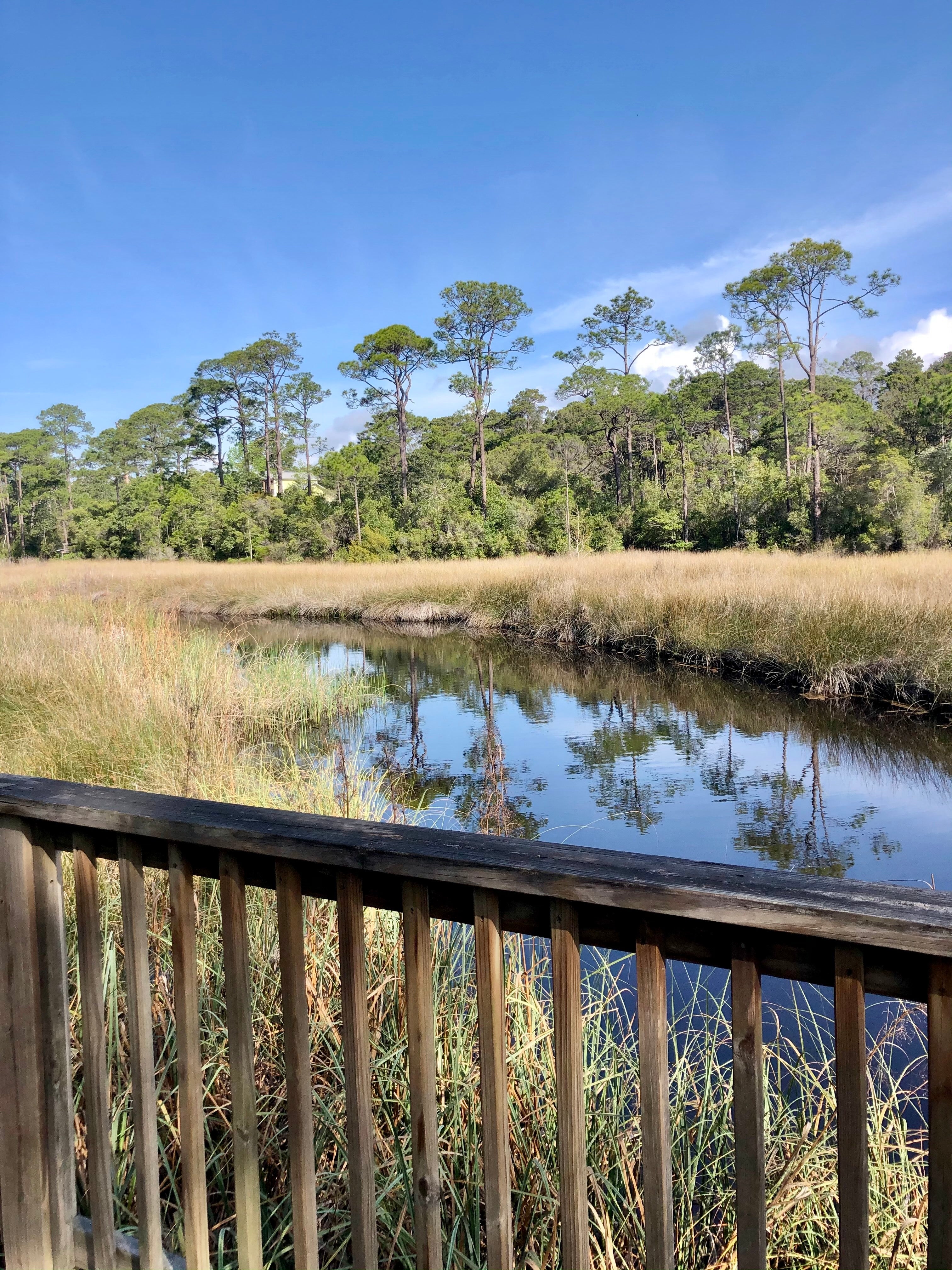 Lake Powell a Hidden Treasure in Inlet Beach